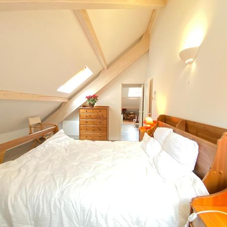 Place De La Mairie T2 Type Loft 70M2 Terrasse 35M2 Cauterets Exterior foto